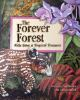 The_forever_forest