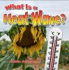 What_is_a_heat_wave_