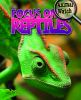 Focus_on_Reptiles