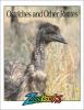 Ostriches_and_other_ratites