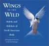 Wings_in_the_wild