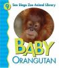 Baby_orangutan