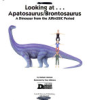 Looking_at--_Apatosaurus_Brontosaurus
