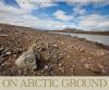 On_arctic_ground