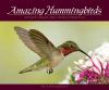 Amazing_hummingbirds
