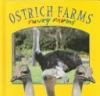 Ostrich_farms