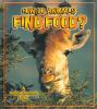 How_do_animals_find_food_