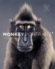 Monkey_portraits