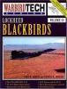 Lockheed_Blackbirds
