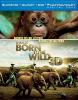 Born_to_be_wild_3D