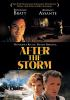 After_the_storm