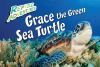 Grace_the_green_sea_turtle