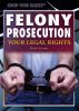 Felony_prosecution