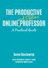 The_productive_online_and_offline_professor