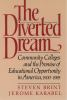 The_diverted_dream