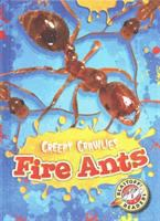 Fire_ants