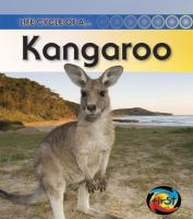 Life_cycle_of_a_kangaroo