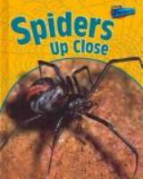 Spiders_up_close