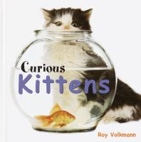 Curious_kittens