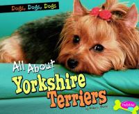 All_about_Yorkshire_terriers