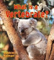 What_is_a_vertebrate_