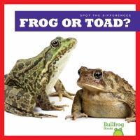 Frog_or_toad_
