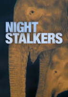Night_stalkers