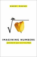 Imagining_numbers