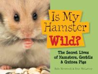Is my hamster wild?