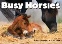 Busy_horsies