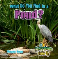 What_do_you_find_in_a_pond_