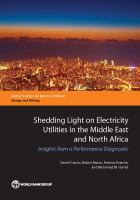 Shedding_light_on_electricity_utilities_in_the_Middle_East_and_North_Africa