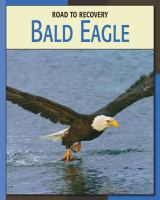 Bald_eagle