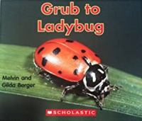 Grub_to_ladybug