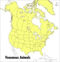 A_field_guide_to_venomous_animals_and_poisonous_plants__North_America__north_of_Mexico