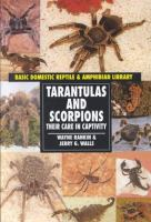 Tarantulas_and_scorpions